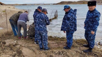 Почти 18 тонн рыбы погибло на Капшагайском водохранилище. Виноваты ветер или болезнь