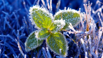 Прогноз погоды на 3 мая: ночные заморозки ожидаются на севере, востоке и местами на юге Казахстана
