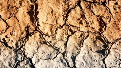 В Аральском районе Кызылординской области объявили режим ЧП из-за засухи