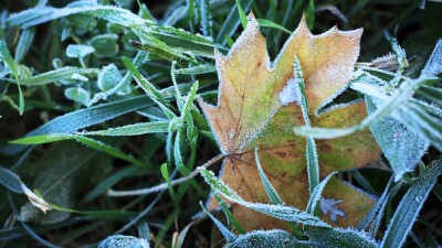 Прогноз погоды на 16 октября: ночные заморозки пришли на юг Казахстана