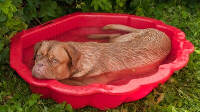 Прогноз погоды на 14 августа: сильная жара ожидается на юге и востоке Казахстана