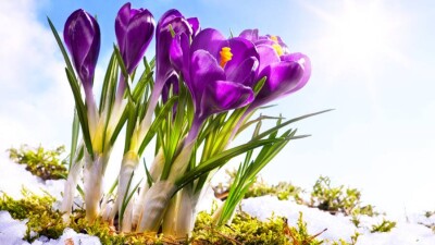 Прогноз "Казгидромета" на весну: температура в марте и апреле будет выше нормы, но не обойдётся без сюрпризов