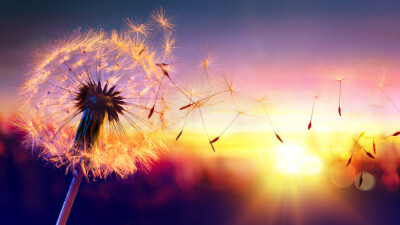 Прогноз погоды на 13 мая: на большей части Казахстана ожидается усиление ветра, на востоке – гроза и град