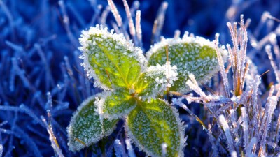 Прогноз погоды на 12 мая: ночные заморозки ожидаются на севере Казахстана