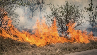 Лесной пожар перекинулся на территорию района Рыскулова в Жамбылской области