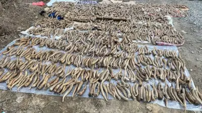 Казахстану разрешили возобновить международную торговлю рогами сайгака