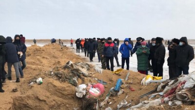 Владелец актюбинской свинофермы, работу которой ограничили после жалоб жителей, находится под домашним арестом