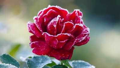 Прогноз погоды на 23 июня: ночные заморозки ожидаются на севере Казахстана