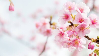 Прогноз погоды на апрель: до +35 градусов ожидается на юге Казахстана в середине и конце месяца