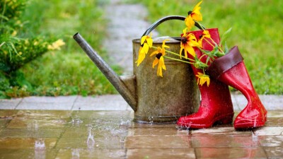 Прогноз погоды на 9 августа: понижение температуры ожидается на севере Казахстана