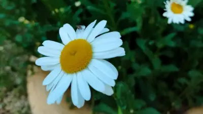 Прогноз погоды на 30 мая: сильная жара ожидается на западе и юге страны