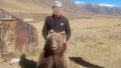 В Жетысуской области задержали мужчину, подозреваемого в отстреле краснокнижного медведя