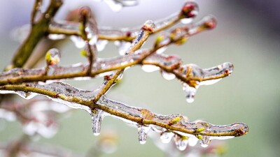 Прогноз погоды на 1 марта: осадки ожидаются на севере и юге Казахстана