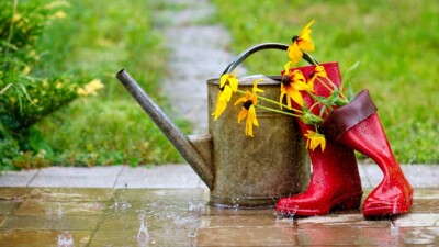 Прогноз погоды на 10 июля: сильные дожди ожидаются в Карагандинской, Костанайской и Акмолинской областях