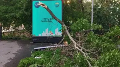 Прогноз погоды на 21 июня: шквал, гроза, местами град ожидаются в Казахстане