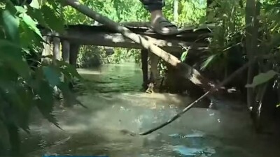 Школа в Туркестанской области сливала нечистоты в арык, из которого жители села пьют воду