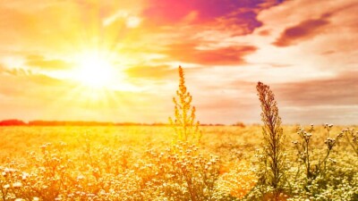 Прогноз погоды на 23 июля: на юге Казахстана сохраняется сильная жара, на севере и западе – гроза