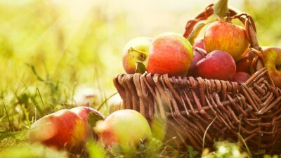 Прогноз погоды на 2 сентября: усиление ветра ожидается на западе и юге Казахстана