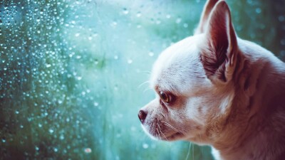 Прогноз погоды на 14 февраля: небольшое потепление перед сильным морозом ожидается на большей части страны