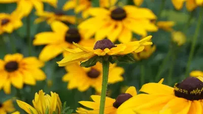 Прогноз погоды на 29 августа: понижение температуры ожидается в Астане и на севере страны