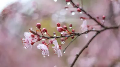 Прогноз погоды на 9 апреля: дожди с грозами ожидаются на большей части Казахстана