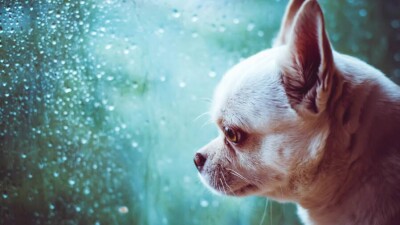 Прогноз погоды на 8 октября: в Астане и на севере Казахстана ожидаются дожди