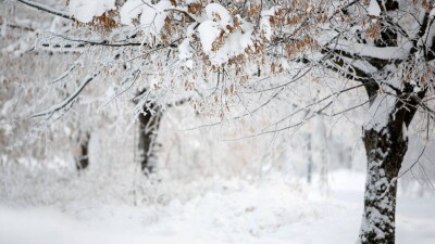 Прогноз погоды на 29 декабря: на большей части Казахстана пройдут осадки