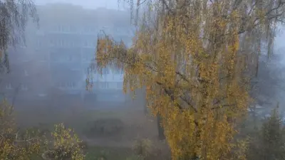 Прогноз погоды на 21 октября: туман ожидается ночью и утром на большей части Казахстана