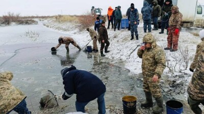 Почти 2 млн молоди рыб спасли из водоканала Баксай в Атырауской области