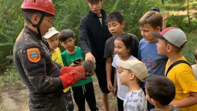 В Усть-Каменогорске дети вызвали спасателей на помощь застрявшему ежу