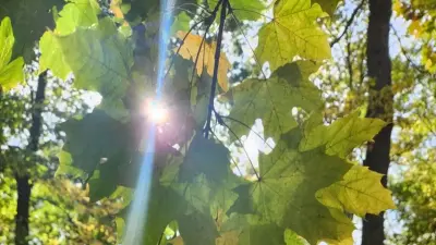 Прогноз погоды на 24 сентября: тепло и сухо будет на большей части Казахстана