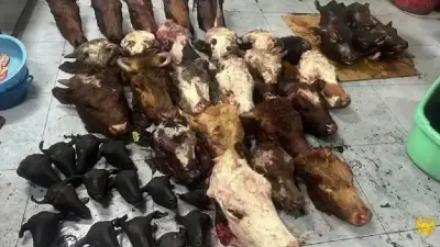 Три тонны мяса и 42 туши скота изъяли в подпольном цехе в Астане