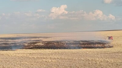 Молния вызвала пожар в природном парке "Буйратау" в Карагандинской области