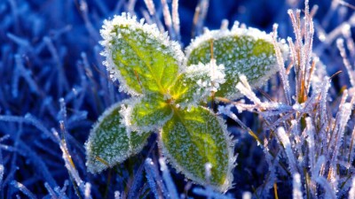 Прогноз погоды на 3 мая: ночные заморозки ожидаются на севере Казахстана