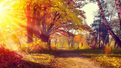 Прогноз погоды на 17 октября: тепло и сухо будет в Казахстане