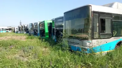 Ещё 166 старых автобусов продали на металлолом в Алматы