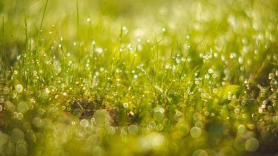 Прогноз погоды на 11 июня: дождь с грозой и усиление ветра ожидаются на большей части Казахстана