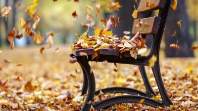 Прогноз погоды на 13 октября: резкое похолодание и шквальный ветер ожидаются на юге Казахстана