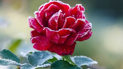 Прогноз погоды на 15 июня: ночные заморозки ожидаются на севере и востоке, жара – на юге и западе