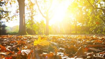 Прогноз погоды на 21 сентября: тепло и сухо будет почти по всему Казахстану