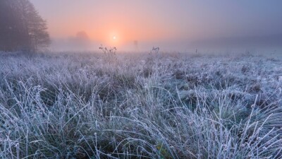 Прогноз погоды на 8 мая: на севере Казахстана ожидаются ночные заморозки