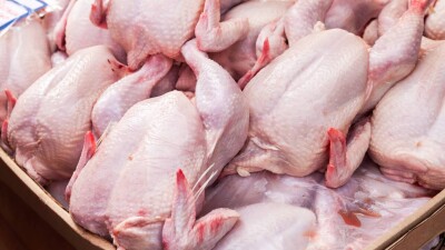 Китай снял ограничения на ввоз птицеводческой продукции из Казахстана, действовавшие почти 20 лет