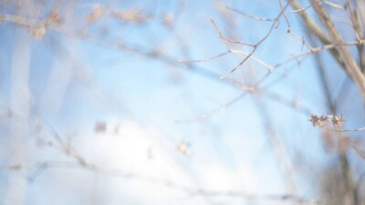 Прогноз погоды на 21 марта: ясно и без осадков ожидается в Казахстане