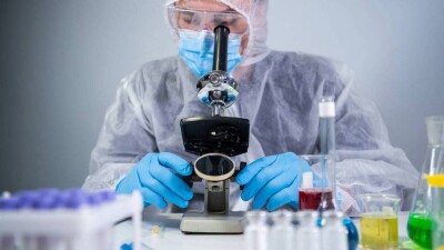 Первый случай заражения оспой обезьян зафиксировали за пределами Африки