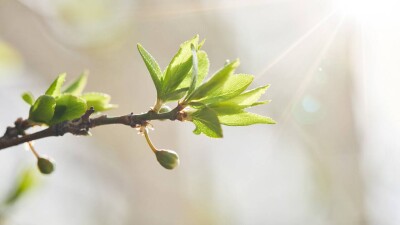 Прогноз погоды на 17 апреля: выше 20 градусов ожидается на юге, востоке и западе Казахстана