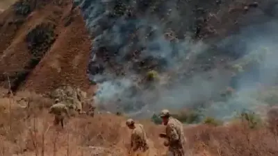 Мешали ветер и сложный рельеф: пожар, разгоревшийся в горах Ушконыр два дня назад, удалось потушить