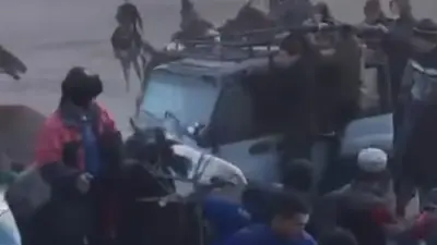 Машина протаранила лошадей с наездниками во время кокпара в Кызылординской области