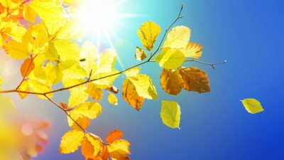 Прогноз погоды на 17 сентября: тёплая и сухая погода ожидается на большей части Казахстана