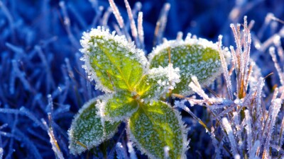 Прогноз погоды на 1 апреля: ночные заморозки ожидаются в Алматы