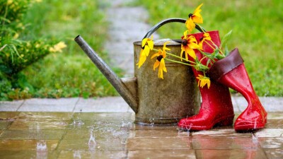 Прогноз погоды на 28 августа: дожди и понижение температуры ожидаются на юге Казахстана